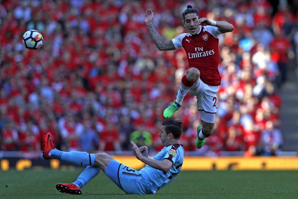 家的情感关 家的情感关