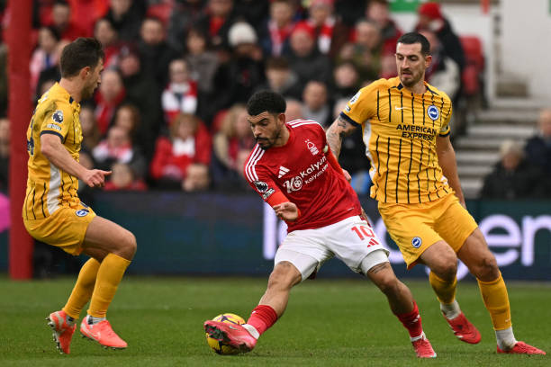 众人数的激 众人数的激