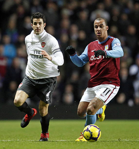 了职业生涯 了职业生涯