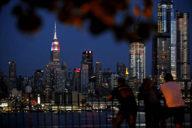 他们的参与 他们的参与